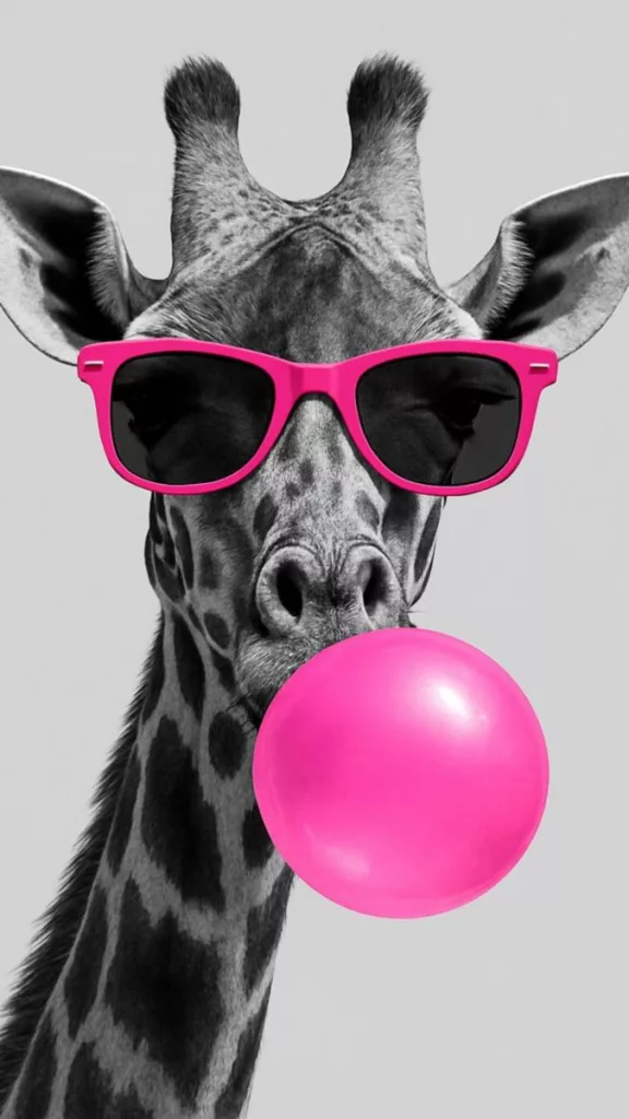 allochouquette digital idea